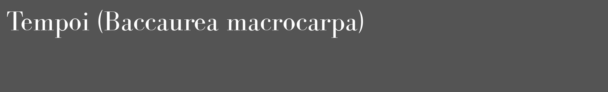 Étiquette de : Baccaurea macrocarpa - format c - style blanche36_basique_basiquebod avec comestibilité