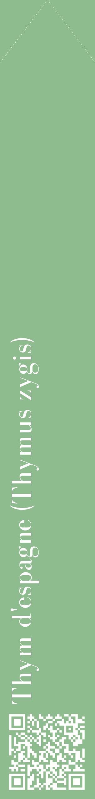 Étiquette de : Thymus zygis - format c - style blanche13_simplebod avec qrcode et comestibilité