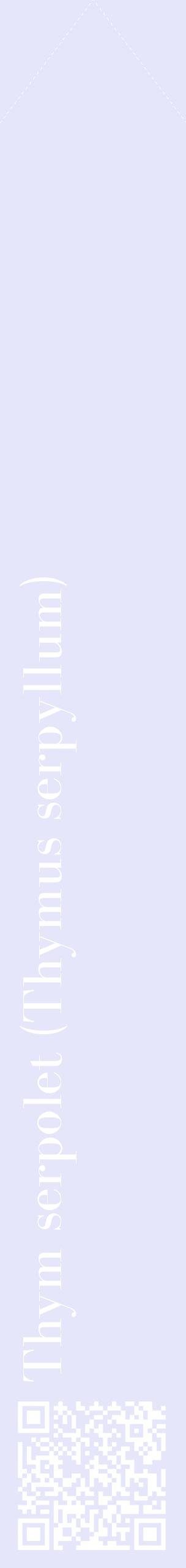 Étiquette de : Thymus serpyllum - format c - style blanche55_simplebod avec qrcode et comestibilité