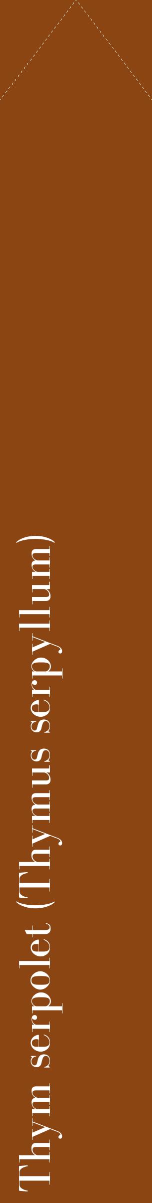 Étiquette de : Thymus serpyllum - format c - style blanche30_simplebod avec comestibilité