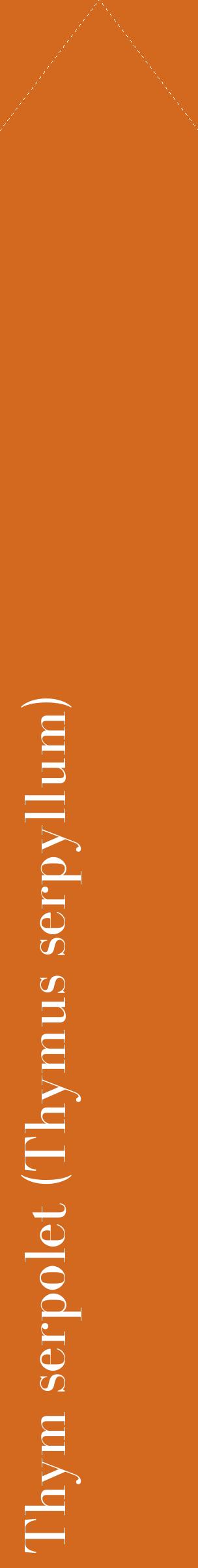 Étiquette de : Thymus serpyllum - format c - style blanche31_simplebod avec comestibilité