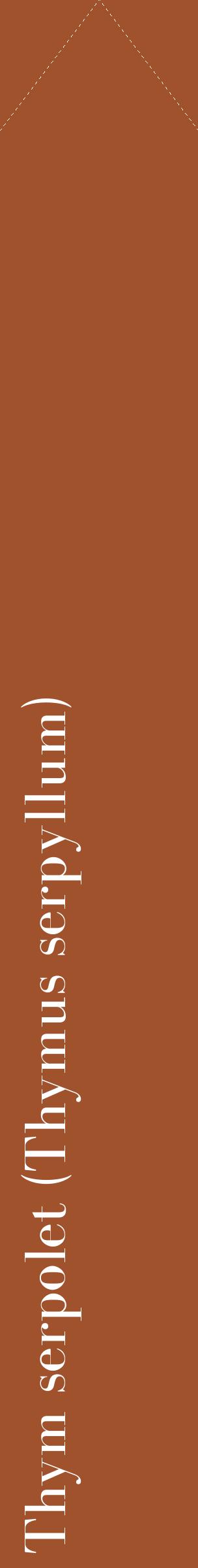 Étiquette de : Thymus serpyllum - format c - style blanche32_simplebod avec comestibilité