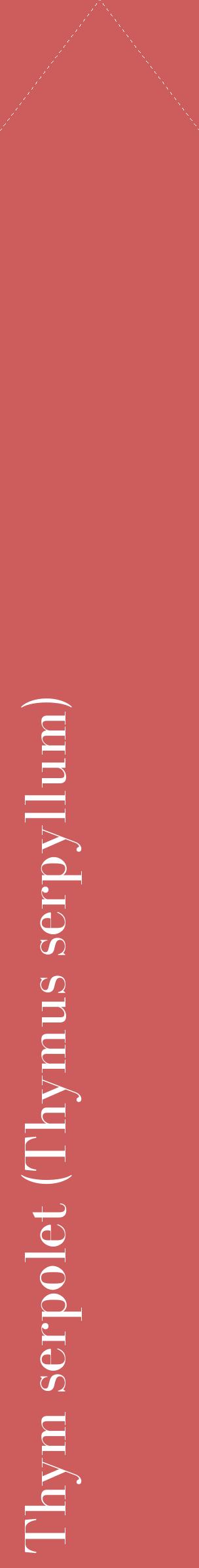 Étiquette de : Thymus serpyllum - format c - style blanche35_simplebod avec comestibilité