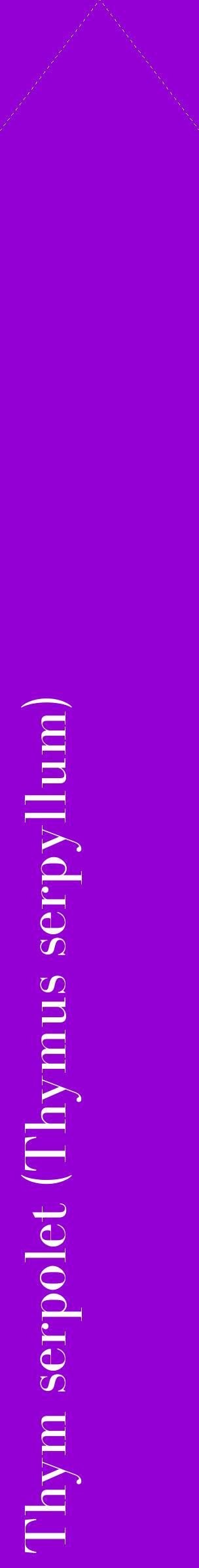 Étiquette de : Thymus serpyllum - format c - style blanche48_simplebod avec comestibilité