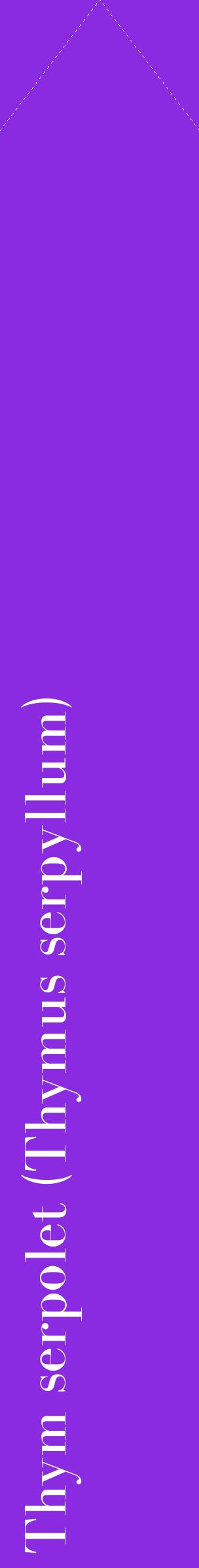 Étiquette de : Thymus serpyllum - format c - style blanche49_simplebod avec comestibilité
