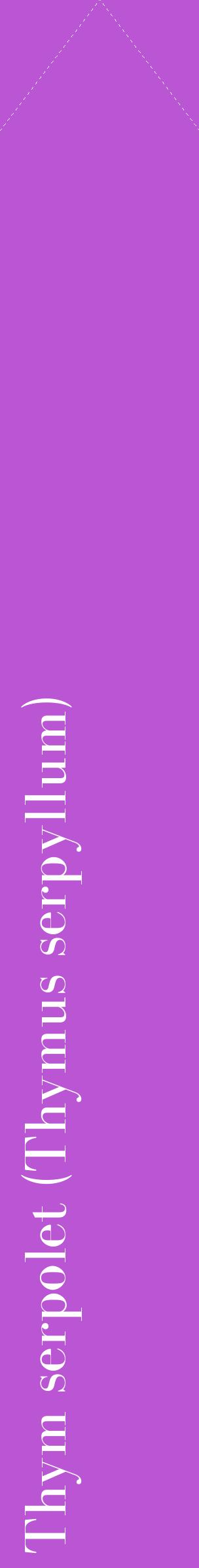 Étiquette de : Thymus serpyllum - format c - style blanche50_simplebod avec comestibilité