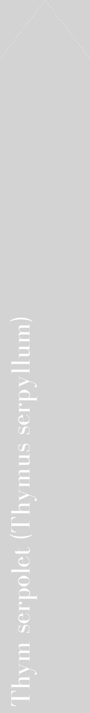 Étiquette de : Thymus serpyllum - format c - style blanche56_simplebod avec comestibilité
