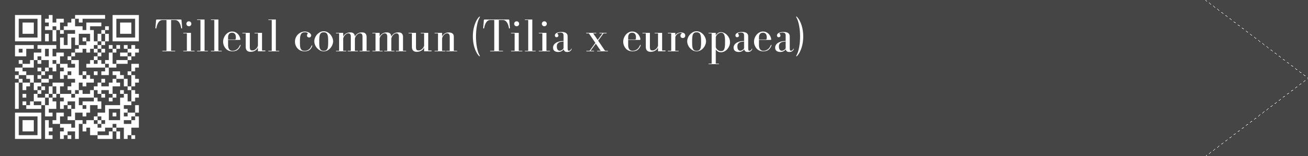 Étiquette de : Tilia x europaea - format c - style blanche58_simple_simplebod avec qrcode et comestibilité