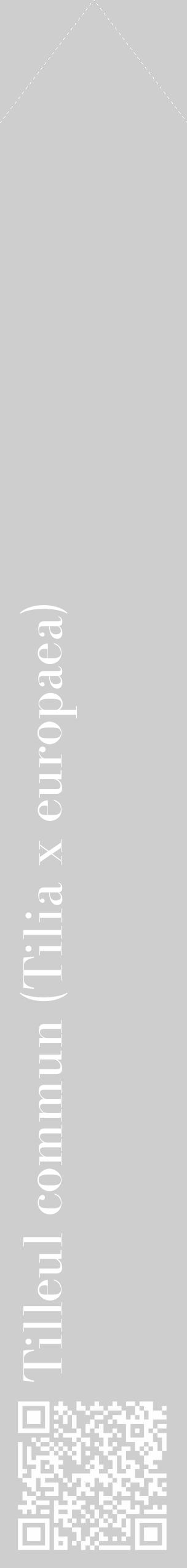 Étiquette de : Tilia x europaea - format c - style blanche17_simple_simplebod avec qrcode et comestibilité - position verticale
