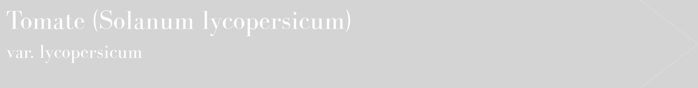 Étiquette de : Solanum lycopersicum var. lycopersicum - format c - style blanche40_simple_simplebod avec comestibilité