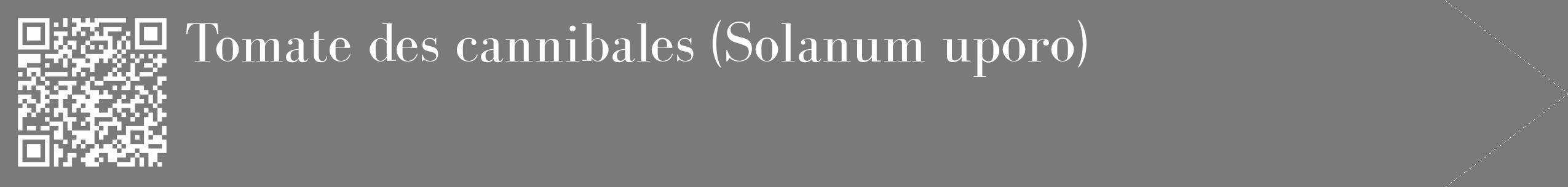 Étiquette de : Solanum uporo - format c - style blanche3_simple_simplebod avec qrcode et comestibilité