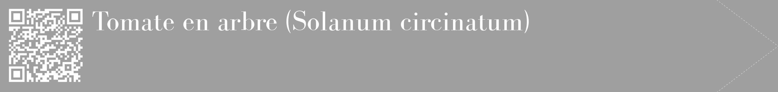Étiquette de : Solanum circinatum - format c - style blanche24_simple_simplebod avec qrcode et comestibilité