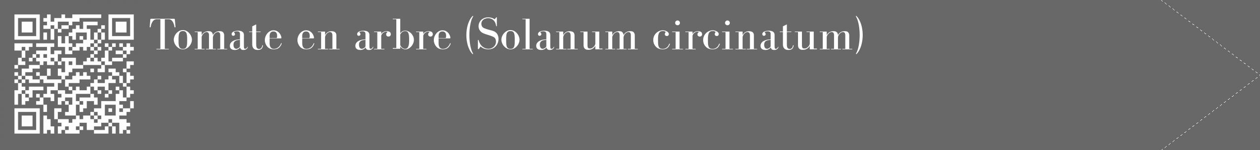 Étiquette de : Solanum circinatum - format c - style blanche43_simple_simplebod avec qrcode et comestibilité