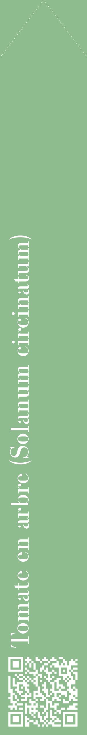 Étiquette de : Solanum circinatum - format c - style blanche13_simplebod avec qrcode et comestibilité