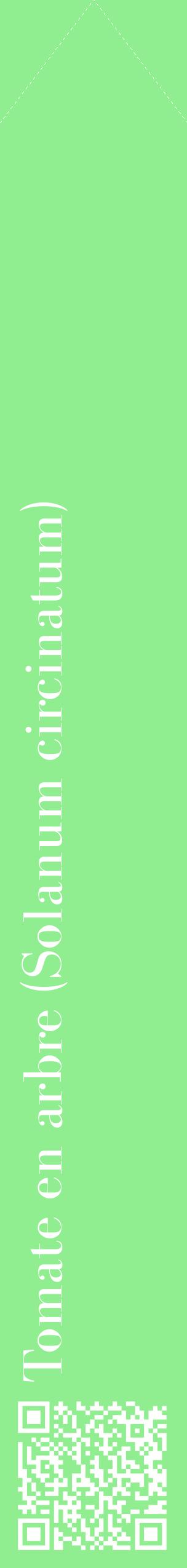 Étiquette de : Solanum circinatum - format c - style blanche15_simplebod avec qrcode et comestibilité