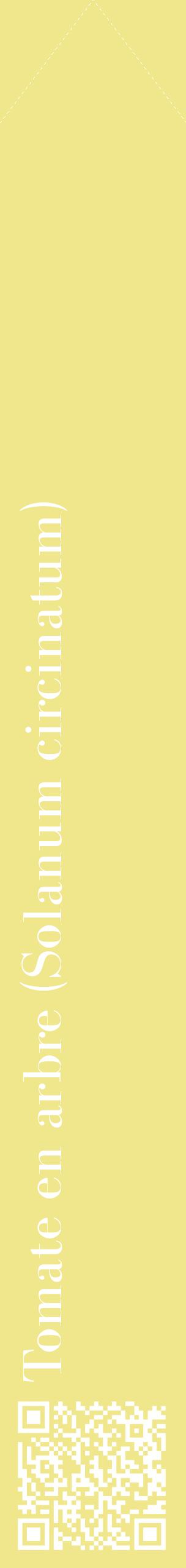 Étiquette de : Solanum circinatum - format c - style blanche20_simplebod avec qrcode et comestibilité