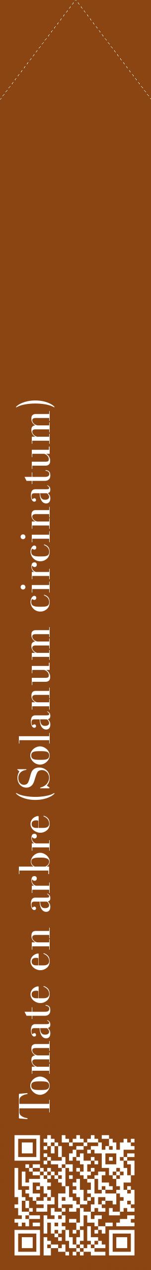 Étiquette de : Solanum circinatum - format c - style blanche30_simplebod avec qrcode et comestibilité