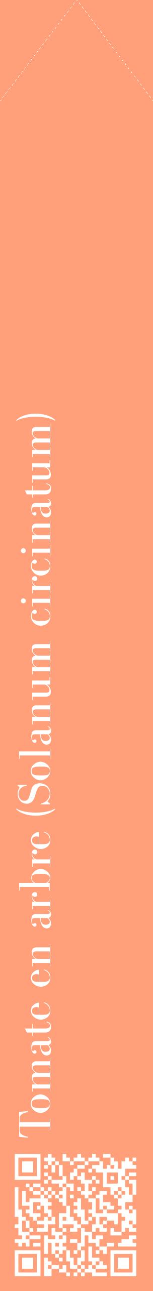 Étiquette de : Solanum circinatum - format c - style blanche39_simplebod avec qrcode et comestibilité