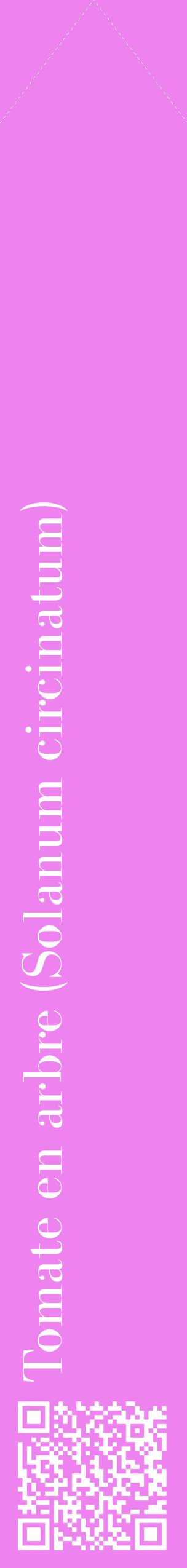 Étiquette de : Solanum circinatum - format c - style blanche53_simplebod avec qrcode et comestibilité