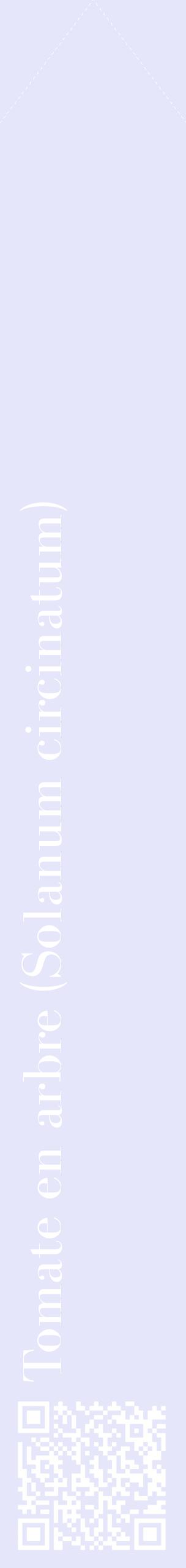 Étiquette de : Solanum circinatum - format c - style blanche55_simplebod avec qrcode et comestibilité