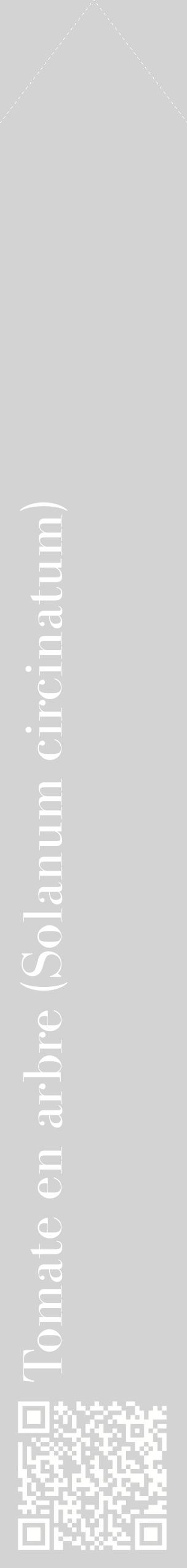 Étiquette de : Solanum circinatum - format c - style blanche56_simplebod avec qrcode et comestibilité