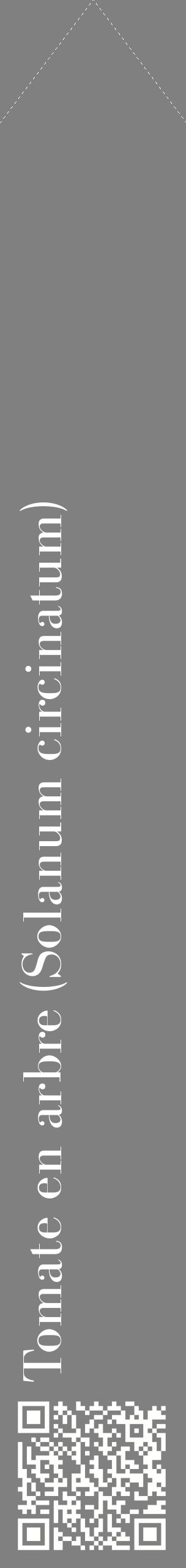 Étiquette de : Solanum circinatum - format c - style blanche57_simplebod avec qrcode et comestibilité
