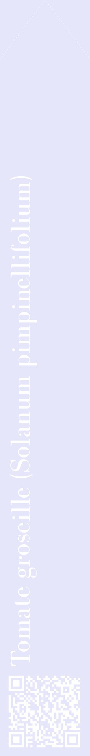 Étiquette de : Solanum pimpinellifolium - format c - style blanche55_simplebod avec qrcode et comestibilité