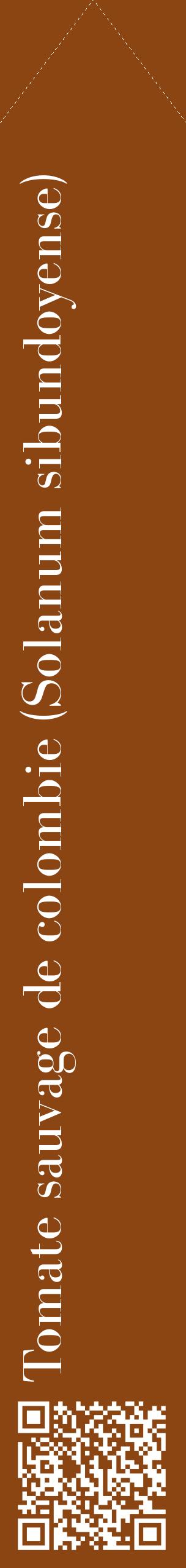 Étiquette de : Solanum sibundoyense - format c - style blanche30_simplebod avec qrcode et comestibilité