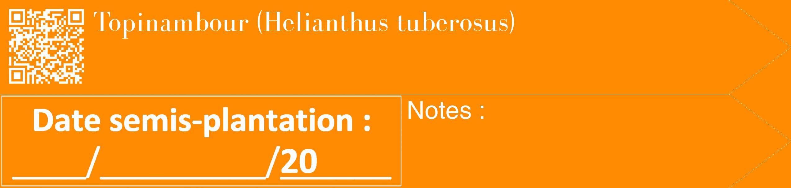 Étiquette de : Helianthus tuberosus - format c - style blanche23_simple_simplebod avec qrcode et comestibilité