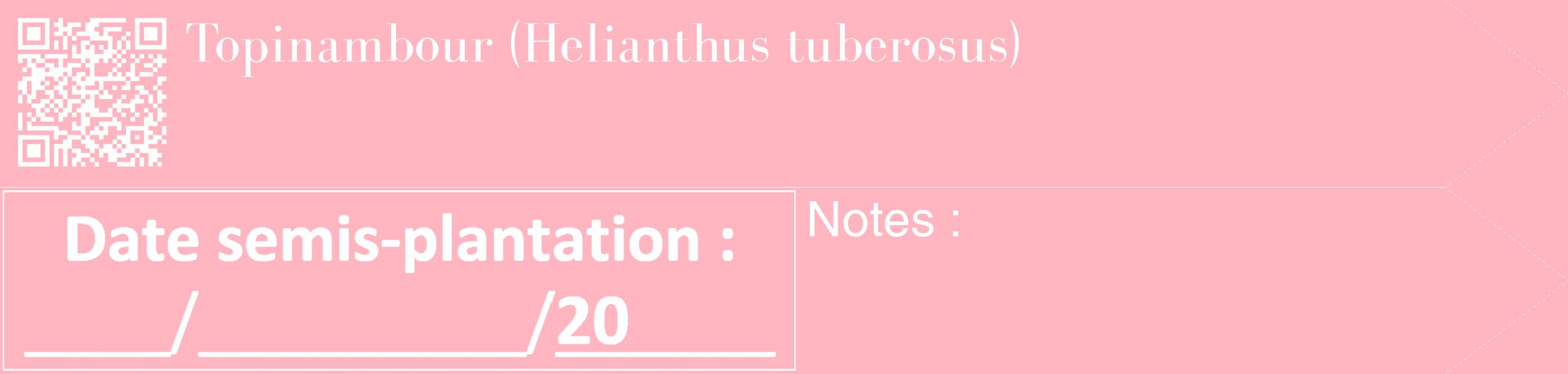 Étiquette de : Helianthus tuberosus - format c - style blanche41_simple_simplebod avec qrcode et comestibilité