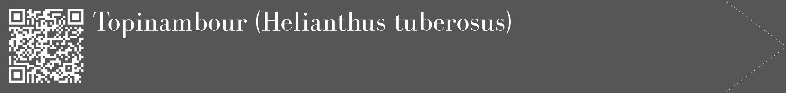 Étiquette de : Helianthus tuberosus - format c - style blanche45_simple_simplebod avec qrcode et comestibilité
