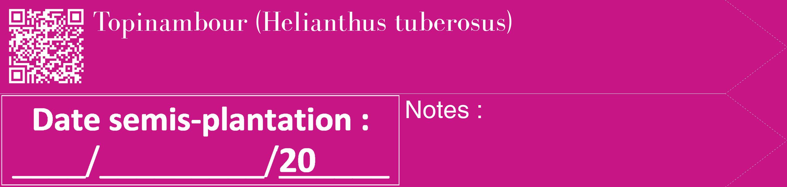 Étiquette de : Helianthus tuberosus - format c - style blanche45_simple_simplebod avec qrcode et comestibilité