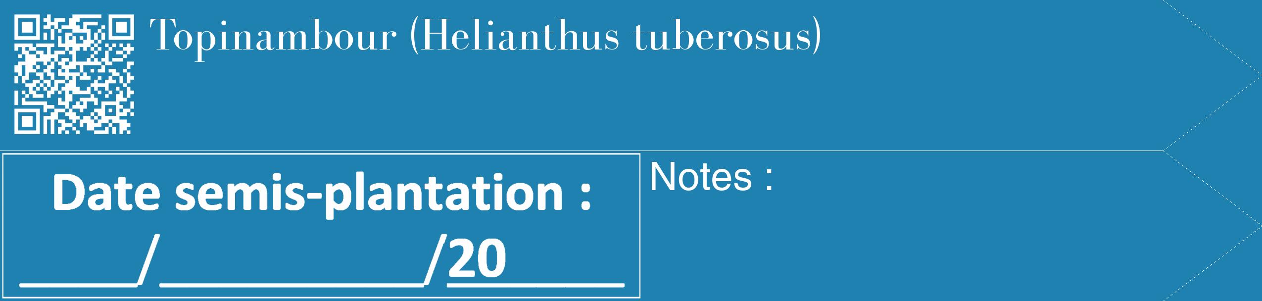 Étiquette de : Helianthus tuberosus - format c - style blanche6_simple_simplebod avec qrcode et comestibilité