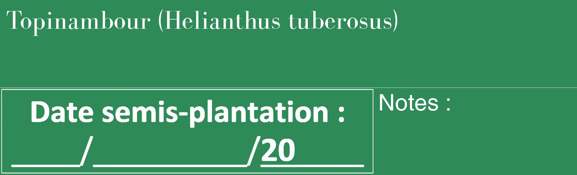 Étiquette de : Helianthus tuberosus - format c - style blanche11_basique_basiquebod avec comestibilité