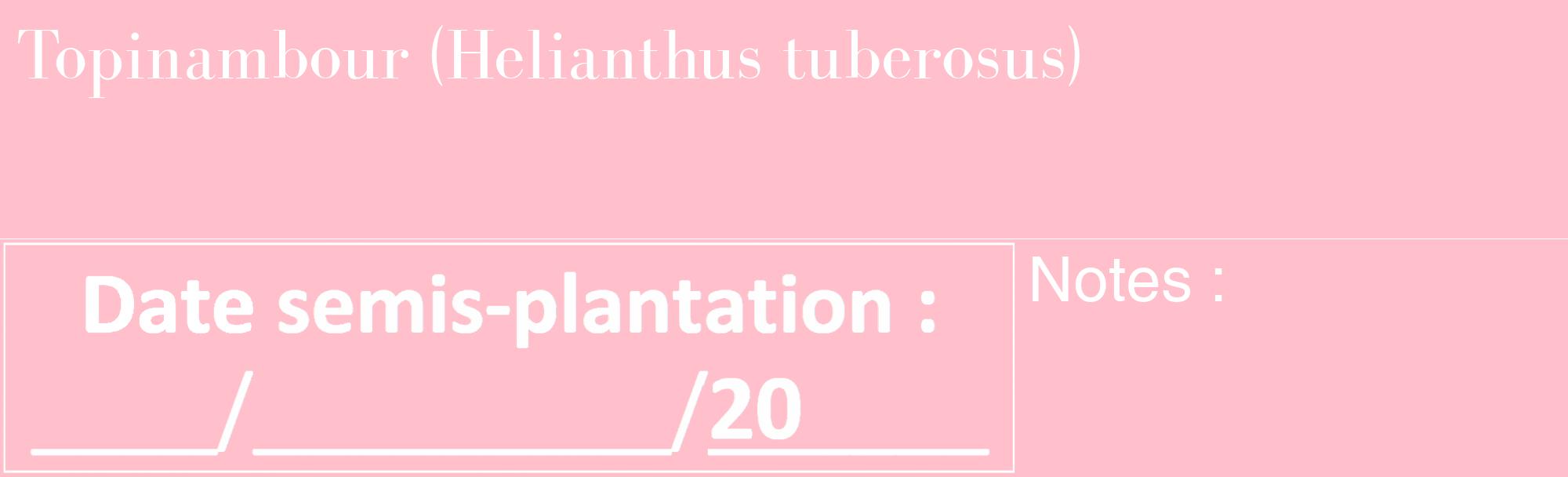 Étiquette de : Helianthus tuberosus - format c - style blanche40_basique_basiquebod avec comestibilité