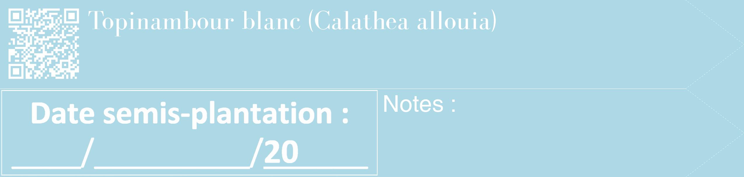 Étiquette de : Calathea allouia - format c - style blanche0_simple_simplebod avec qrcode et comestibilité