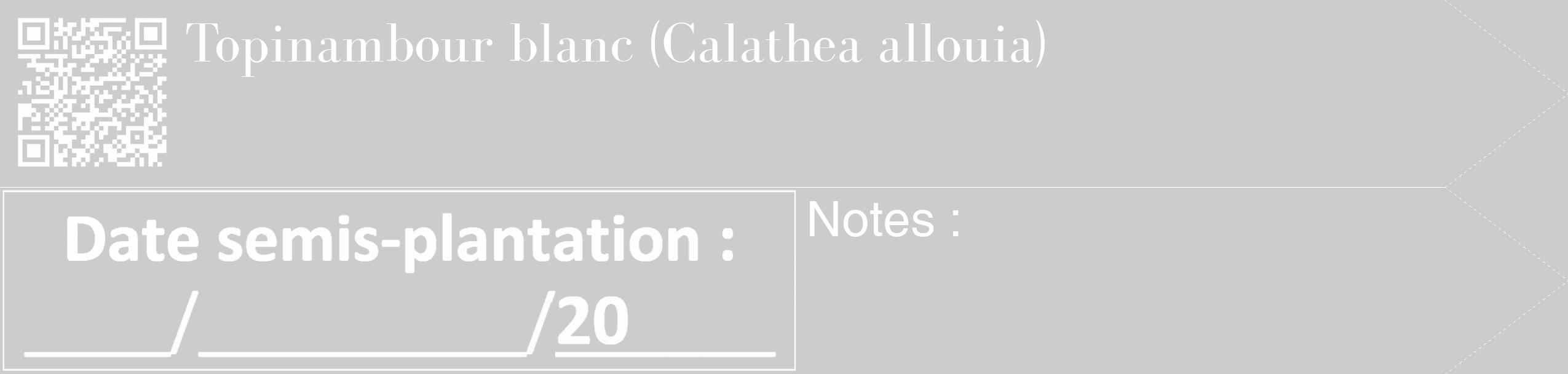 Étiquette de : Calathea allouia - format c - style blanche0_simple_simplebod avec qrcode et comestibilité