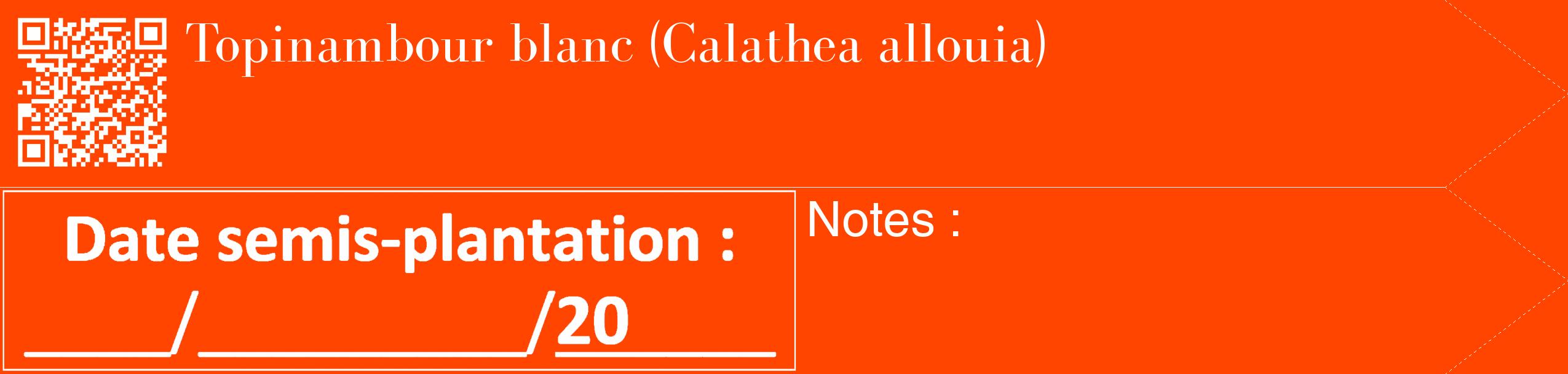 Étiquette de : Calathea allouia - format c - style blanche26_simple_simplebod avec qrcode et comestibilité