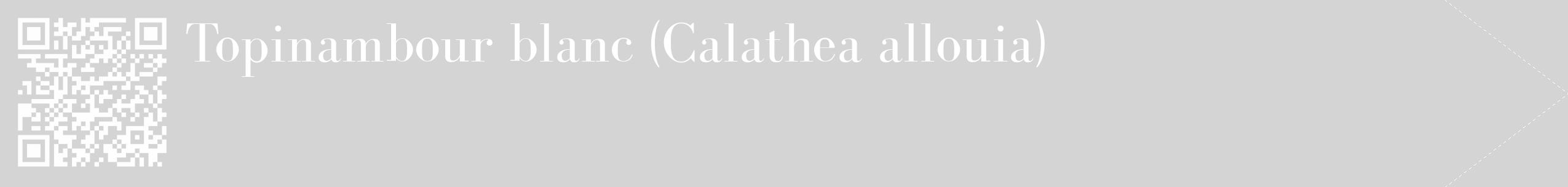 Étiquette de : Calathea allouia - format c - style blanche40_simple_simplebod avec qrcode et comestibilité
