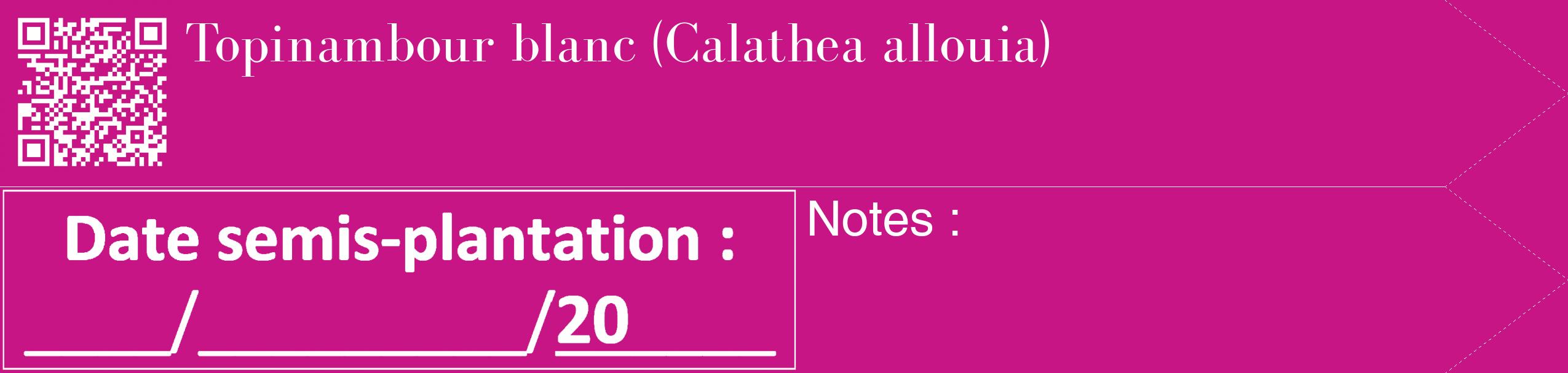Étiquette de : Calathea allouia - format c - style blanche45_simple_simplebod avec qrcode et comestibilité
