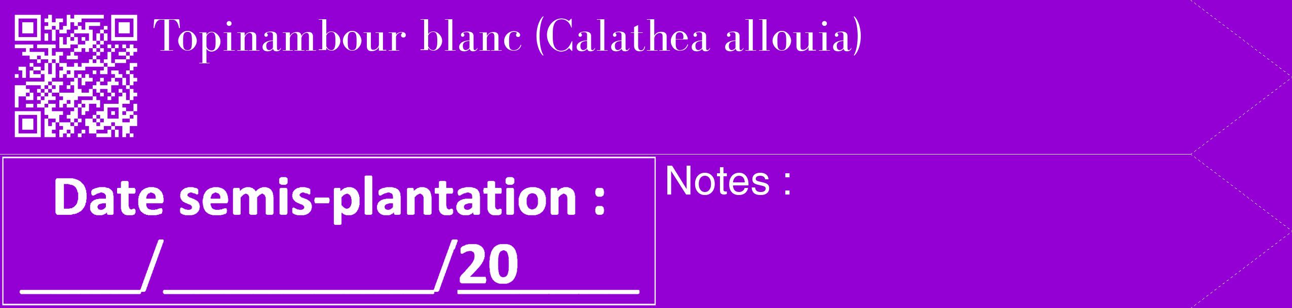 Étiquette de : Calathea allouia - format c - style blanche48_simple_simplebod avec qrcode et comestibilité