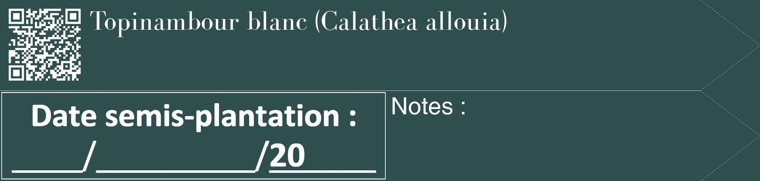 Étiquette de : Calathea allouia - format c - style blanche58_simple_simplebod avec qrcode et comestibilité