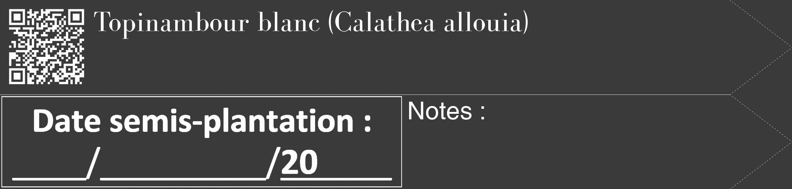 Étiquette de : Calathea allouia - format c - style blanche8_simple_simplebod avec qrcode et comestibilité