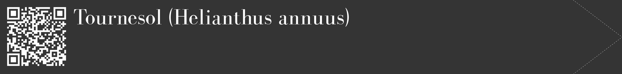 Étiquette de : Helianthus annuus - format c - style blanche46_simple_simplebod avec qrcode et comestibilité