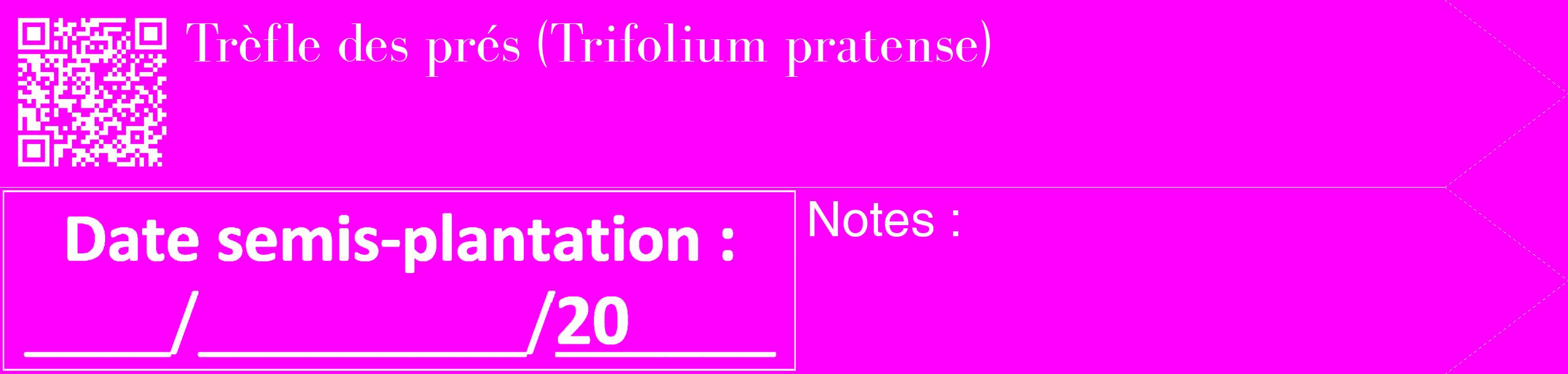 Étiquette de : Trifolium pratense - format c - style blanche51_simple_simplebod avec qrcode et comestibilité