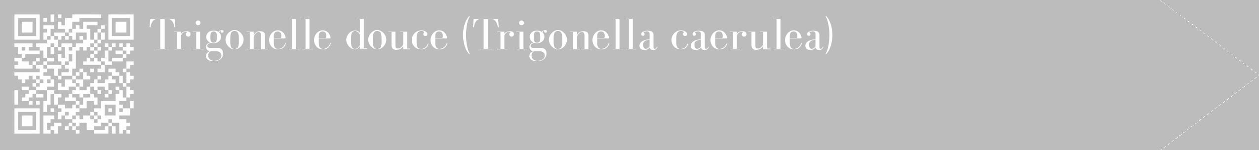 Étiquette de : Trigonella caerulea - format c - style blanche1_simple_simplebod avec qrcode et comestibilité
