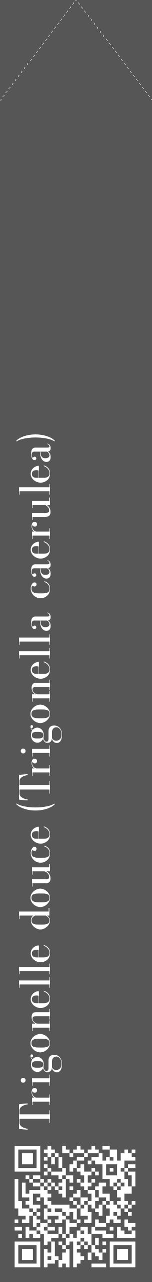 Étiquette de : Trigonella caerulea - format c - style blanche45_simple_simplebod avec qrcode et comestibilité - position verticale
