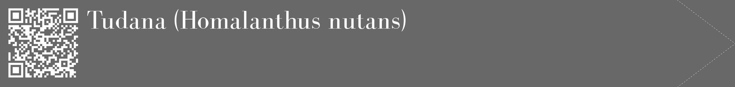 Étiquette de : Homalanthus nutans - format c - style blanche6_simple_simplebod avec qrcode et comestibilité