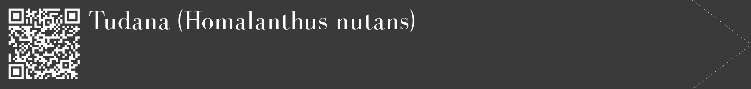 Étiquette de : Homalanthus nutans - format c - style blanche8_simple_simplebod avec qrcode et comestibilité