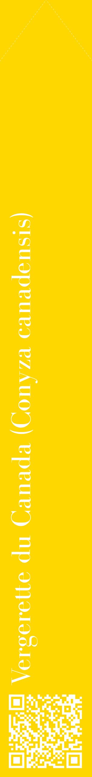 Étiquette de : Conyza canadensis - format c - style blanche21_simplebod avec qrcode et comestibilité